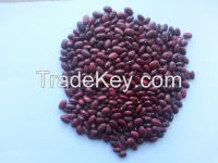 red kidney beans