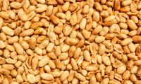 High Protein Red Skin Peanuts