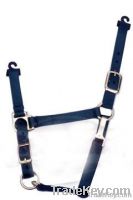 Halters for horses