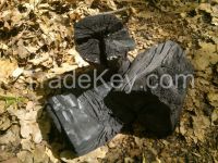 Oak Charcoal in PE bags (per 12-15 kg) BuratinoTM, ShashlichenkoTM from Ukraine. Good quality