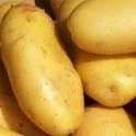 Potato, Turmeric