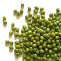 Green Mung Bean