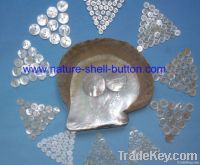 nature shell button, trocas shell button, mop shell button, black shell