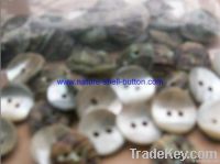 agoya flower, agoya shape, agoya shell button, nature shell button, agoya