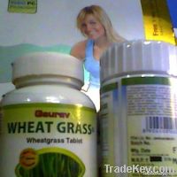 Wheatgrass Powder / Tablets