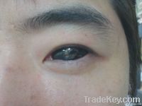 https://jp.tradekey.com/product_view/22mm-Sclera-Cosmetic-Color-Lens-1835218.html