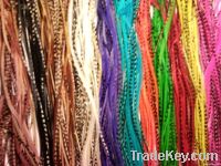 Multi-Color Feather Extensions