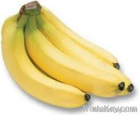 fresh banana