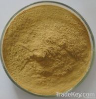 Kava Kava Extract