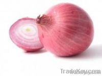 Dry Onion