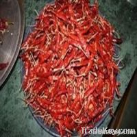 Dried Red Chillies