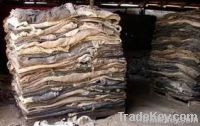 Wet Salted Cow Skin & Dry Raw Cow Hides