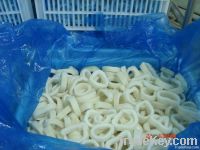 Frozen Squid Ring