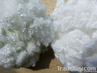 Polyester Staple Fiber