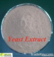 yeast extract (low salt)