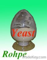 yeast extract paste (food seasoning)