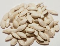 Pumpkin Seeds