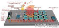 Indoor Fish Farm Recirculating Aquaculture System