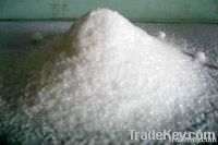 Ammonium Sulphate