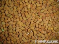 https://ar.tradekey.com/product_view/Australian-Desi-Chcikpeas-desi-Chickpeas-Suppliers-desi-Chickpeas-Exporters-desi-Chickpeas-Manufacturers-desi-Chickpeas-Traders-4854631.html