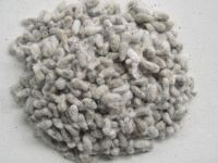 Australian Cottonseed,cottonseeds importers,cottonseeds buyers,cottonseeds importer,buy cottonseeds