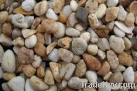 Natural Pebble Stone