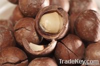 Macadamia Nut