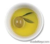 Olive Oil