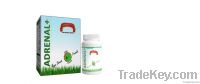 https://fr.tradekey.com/product_view/Adrenal-Megafood-2064325.html