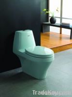 color tone-piece toilet