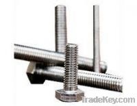 Stainless Steel Fastener