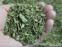 https://www.tradekey.com/product_view/2011-New-Crop-Green-And-Natural-Oregano-Leaves-1821584.html