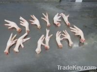 Chicken feet (Italy)