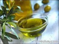 Olive Oil