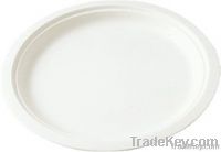 biodegradable disposable tableware--10inch pulp plate