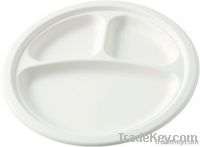 biodegradable disposable tableware--9inch plate with food sapce