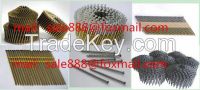 Common Nails(Stainless Steel Nail,Brass Copper Nails)
