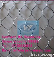 Gabion Mesh/Hexagonal Wire Netting