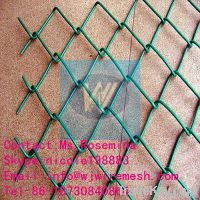 Chain Link Fence/Wire Mesh Fence