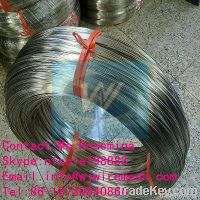 Stainless Steel Wire/Galvanized Wire