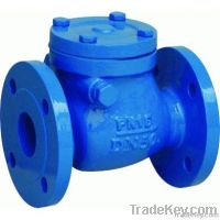 Cast Iron Swing Check Valves