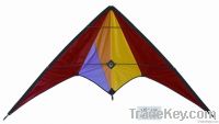 kite, stunt kite, sports kite