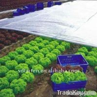 Anti- UV PP nonwoven fabric for agriculture
