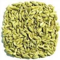 FENNEL SEEDS