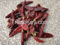 hot dried chilli