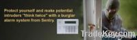 Burglar (or intrusion), Alarms