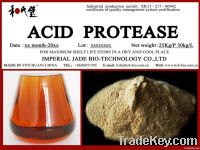 https://es.tradekey.com/product_view/Acid-Protease-2103604.html