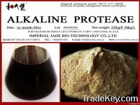 Alkaline protease