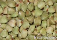 raw buckwheat kernels