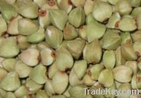 2012 roasted buckwheat kernel
